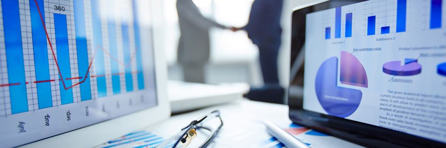 Assistenza societaria